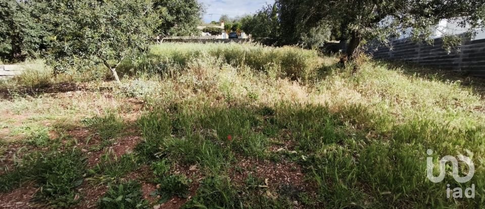 Terrain à bâtir à São Brás de Alportel de 659 m²