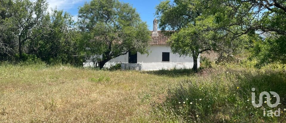 Country home T1 in Lagoa e Carvoeiro of 36 m²