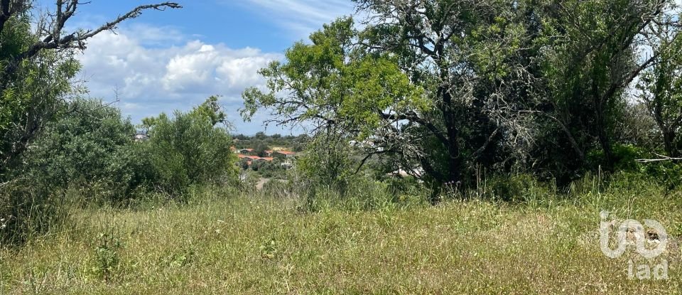 Country home T1 in Lagoa e Carvoeiro of 36 m²