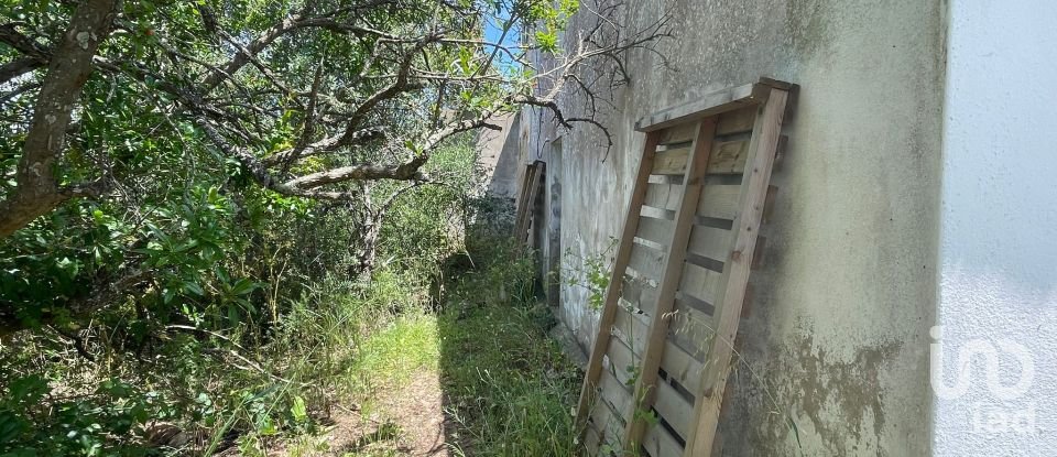 Country home T1 in Lagoa e Carvoeiro of 36 m²