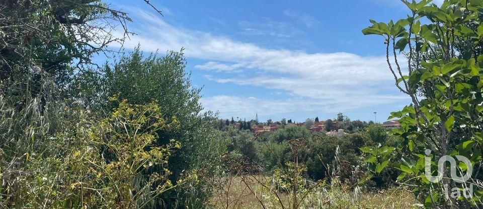 Country home T1 in Lagoa e Carvoeiro of 36 m²