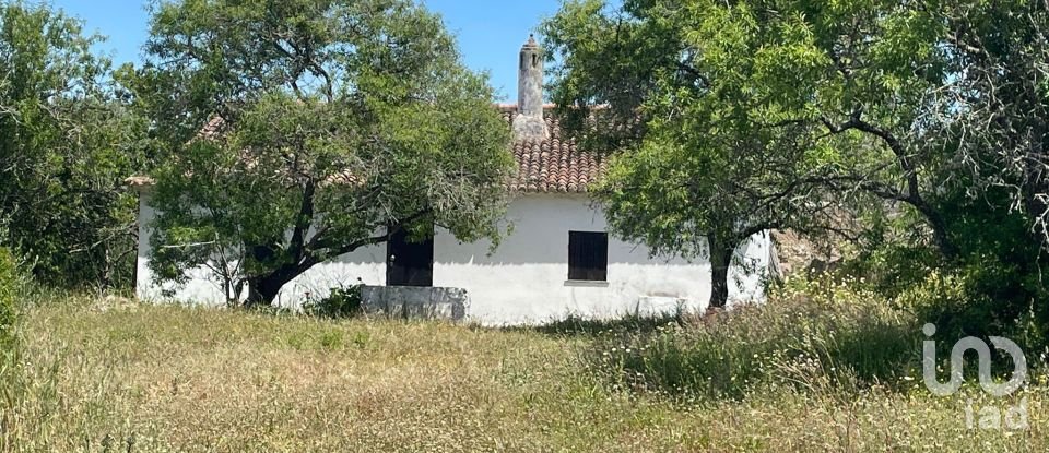 Country home T1 in Lagoa e Carvoeiro of 36 m²