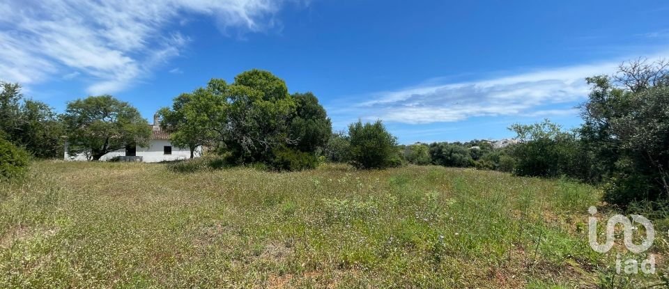 Country home T1 in Lagoa e Carvoeiro of 36 m²