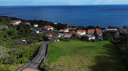 Maison T3 à São João de 144 m²