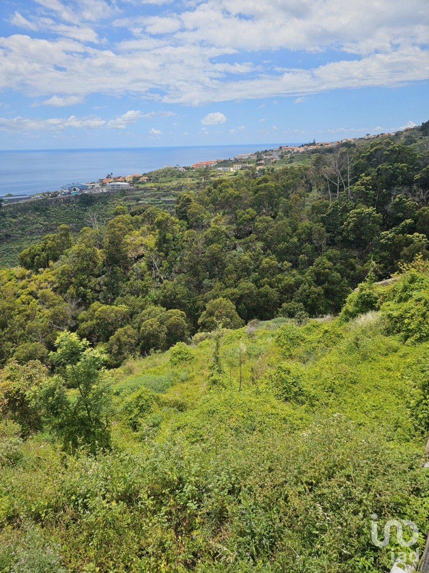 Terreno em Gaula de 3 370 m²