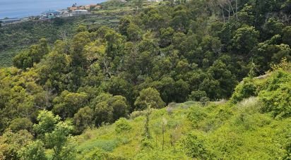 Terrain à Gaula de 3 370 m²