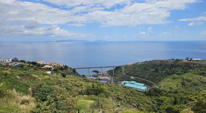 Terrain à Gaula de 3 370 m²