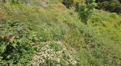 Terrain à Gaula de 3 370 m²