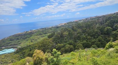 Terrain à Gaula de 3 370 m²