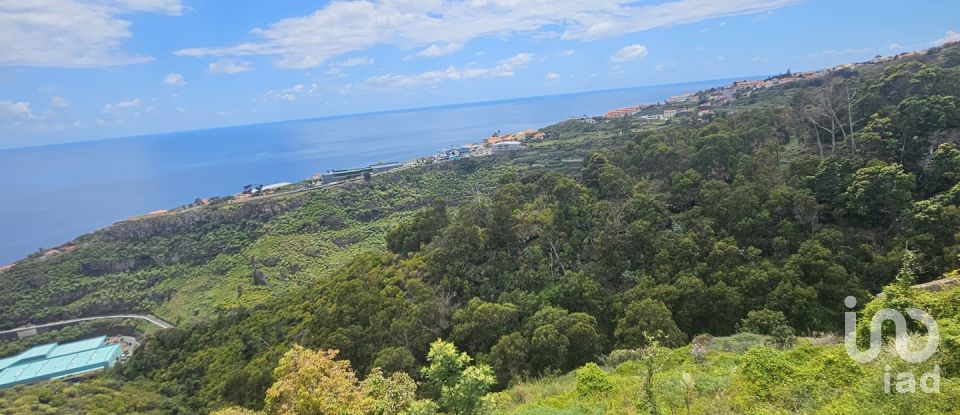 Terreno em Gaula de 3 370 m²