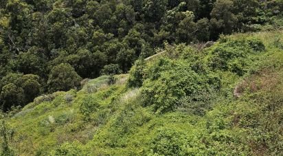 Terrain à Gaula de 3 370 m²