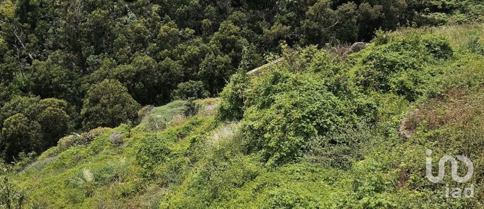 Terreno em Gaula de 3 370 m²