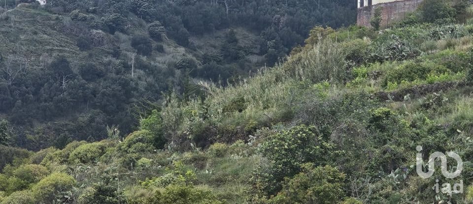 Terreno em Gaula de 3 370 m²