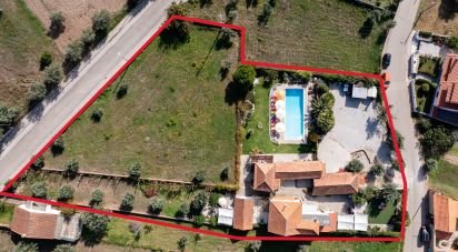 Gîte T8 à Carapinha de 519 m²