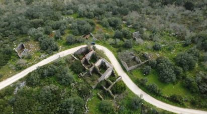 Terrain à Chãos de 480 m²