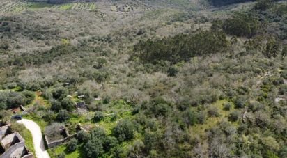 Terrain à Chãos de 480 m²