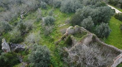 Terrain à Chãos de 480 m²