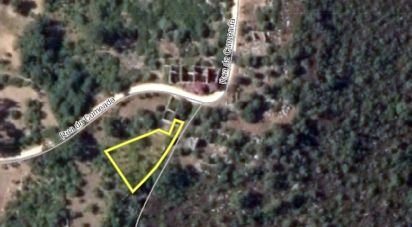 Terrain à Chãos de 480 m²