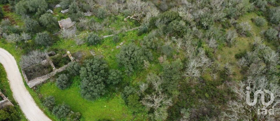 Terrain à Chãos de 480 m²