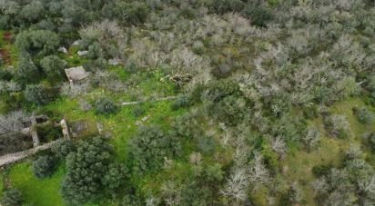 Terrain à Chãos de 480 m²