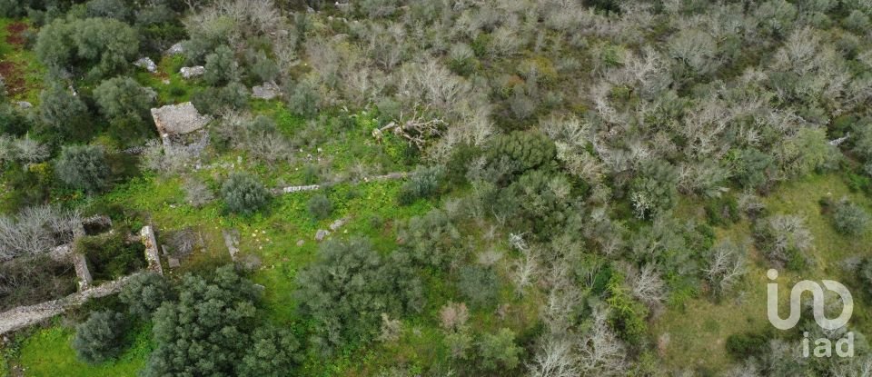 Terrain à Chãos de 480 m²