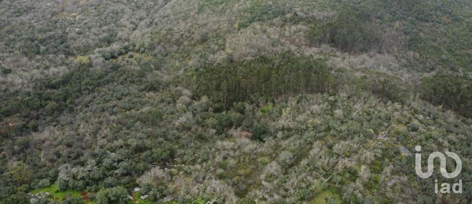 Terrain à Chãos de 480 m²