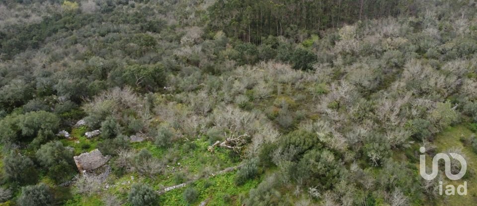 Terrain à Chãos de 480 m²