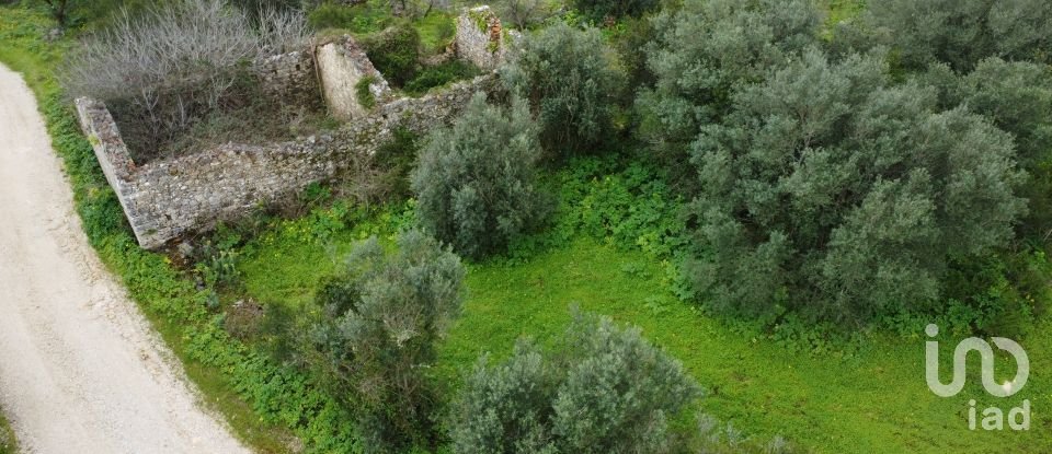 Terrain à Chãos de 480 m²