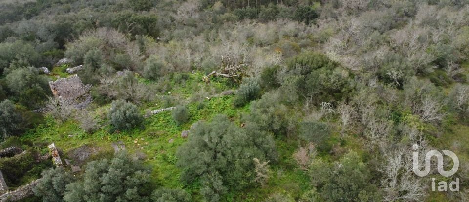 Terrain à Chãos de 480 m²