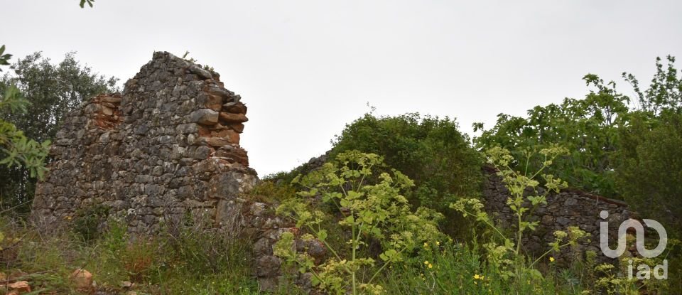 Terrain à Chãos de 480 m²