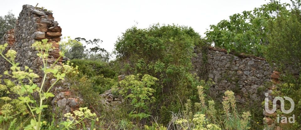 Terrain à Chãos de 480 m²