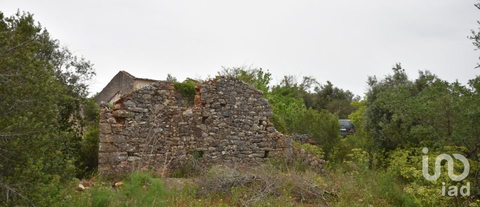 Terrain à Chãos de 480 m²