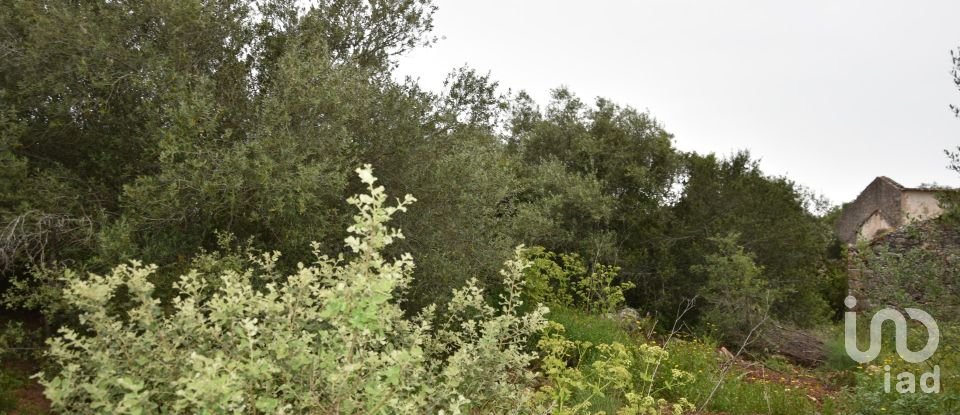 Terrain à Chãos de 480 m²