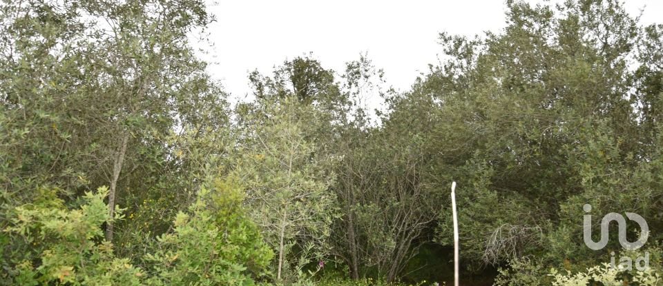 Terrain à Chãos de 480 m²