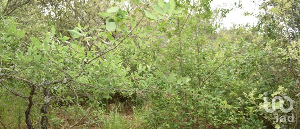 Terrain à Chãos de 480 m²