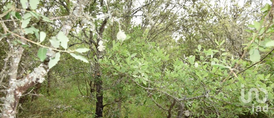 Terrain à Chãos de 480 m²