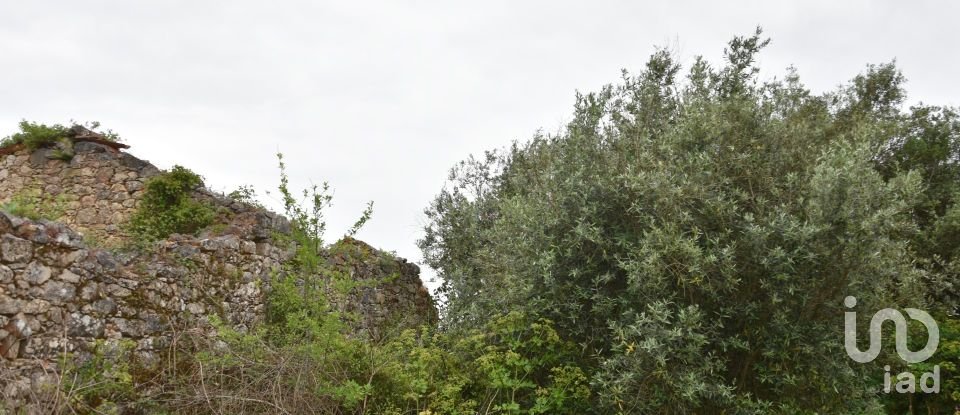 Terrain à Chãos de 480 m²