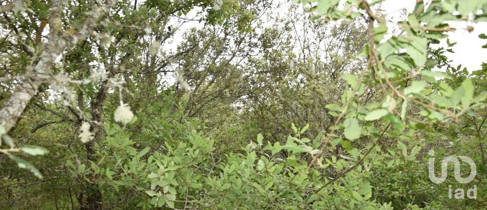 Terrain à Chãos de 480 m²