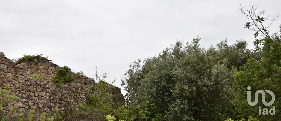 Terrain à Chãos de 480 m²