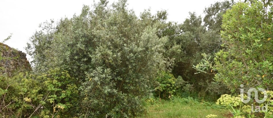 Terrain à Chãos de 480 m²