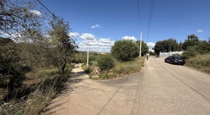 Farm land in Albufeira e Olhos de Água of 2,330 m²