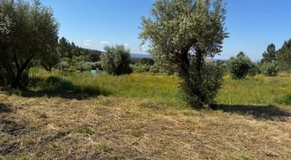 Terrain à Casais e Alviobeira de 2 160 m²