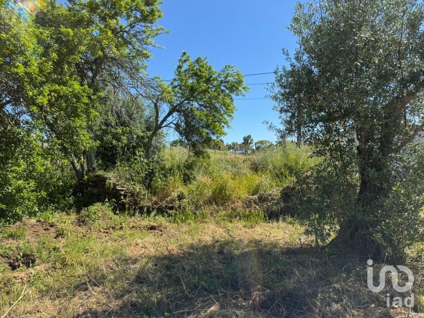 Land in Casais e Alviobeira of 2,160 m²