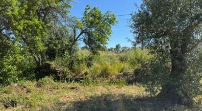 Terrain à Casais e Alviobeira de 2 160 m²