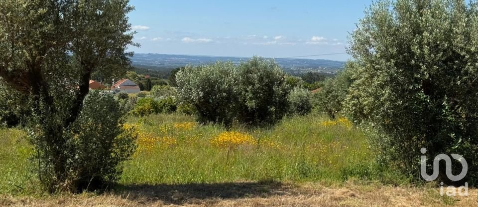 Land in Casais e Alviobeira of 2,160 m²