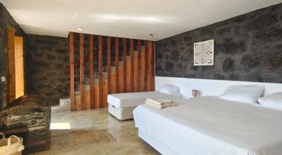 Maison T2 à Ribeiras de 175 m²