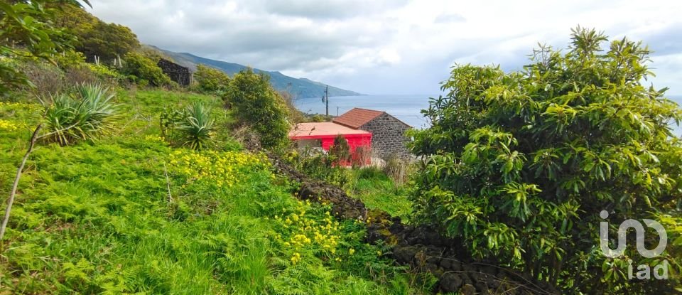 Maison T2 à Ribeiras de 175 m²