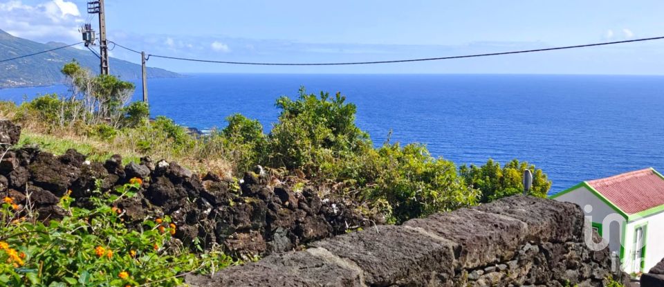 Maison T2 à Ribeiras de 175 m²