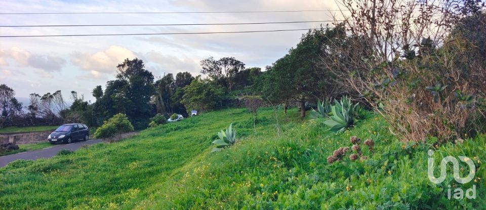 Maison T2 à Ribeiras de 175 m²