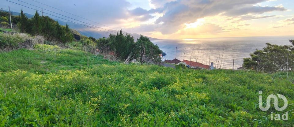 Maison T2 à Ribeiras de 175 m²